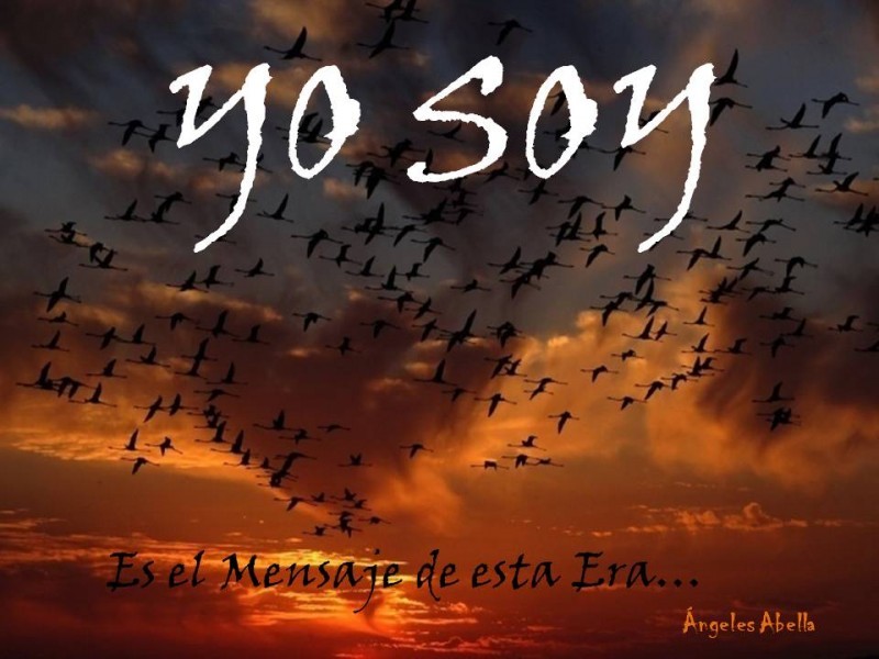Yo soy